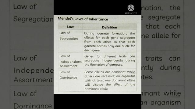 Mendel's law of inheritance (Biology) Class 10 смотреть онлайн
