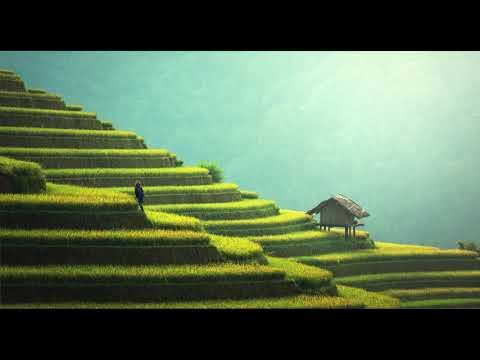 Payday Jason Farnham-No Copyright Music - Free Music - Nhạc miễn phí Youtuber смотреть онлайн