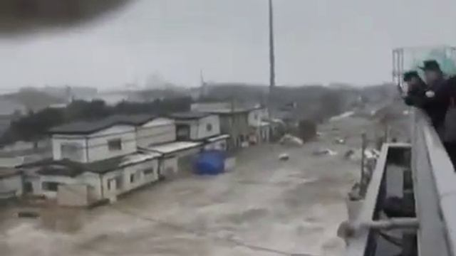 Сунами в японя смотреть онлайн