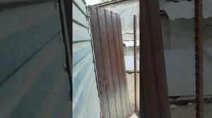 Чем обработать курятник от паразитов? Самый эффективный способ!