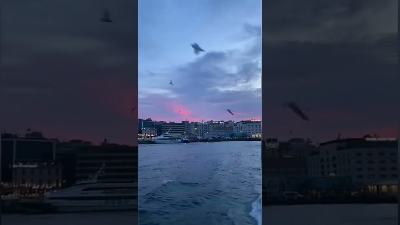 Очень красивый Нашид 🥺🥰 Рай для ушей / Успокоение ☺️😇🥱 Nasheed #нашид #nasheed #nasheeds #islam смотреть онлайн