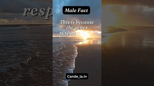 Colorblindness Explained: Why Men Are More Affected. смотреть онлайн