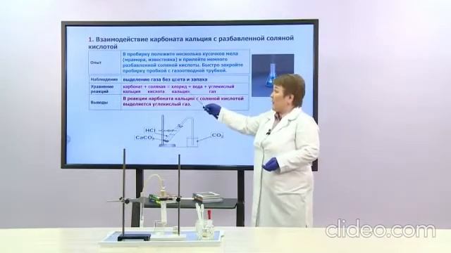 Практическая работа № 3 Взаимодействие карбонатов с разбавленными кислотами смотреть онлайн