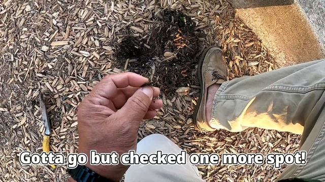 Find Clad Coins to Pay for a Metal Detector | Break Even Quest Round 2 смотреть онлайн