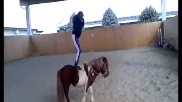 ESTER ZAR horse artistic dance BACK STAGE смотреть онлайн