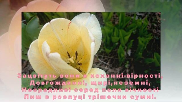 ЦВІТ КОХАННЯ смотреть онлайн