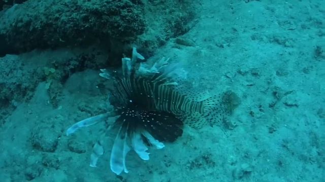 Guardalavaca Cuba Sept 2015 смотреть онлайн