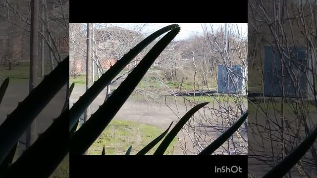 Ели вы такой чудо-суп, картошка и овсянка?! Насколько полезен, настолько прост в Пост!! СВЕКОЛЬНИК смотреть онлайн