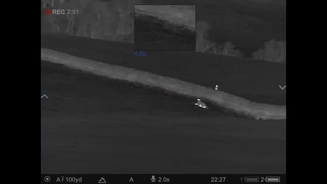 See through the new Pulsar Thermion 2 LRF XP50 PRO Thermal Scope смотреть онлайн