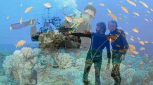 Детям о профессии океанолога