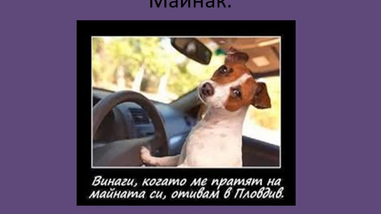 Вицове смотреть онлайн