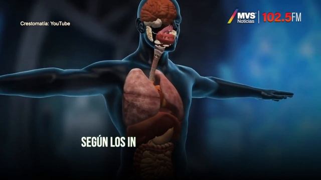 Brócoli contra el cáncer смотреть онлайн
