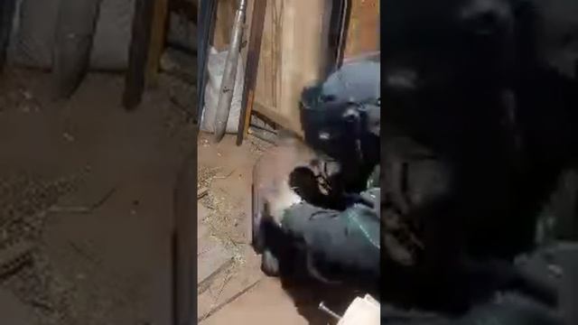 UDM KLIM 18 варим печь) #подпишись😉.mp4 смотреть онлайн