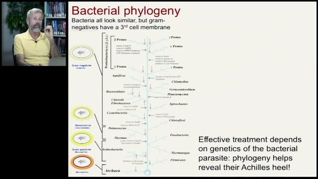 Biology 1001 - Evidence for Evolution 4 смотреть онлайн