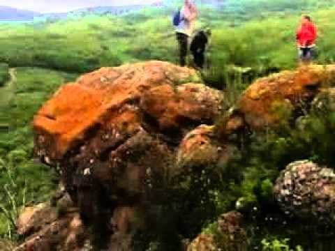 Видео 0125 смотреть онлайн