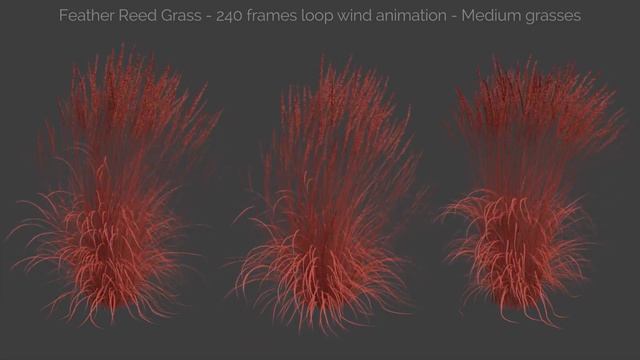Feather Reed Grass - Wind Animation | Gamma 2.2 - Architectural Visualization смотреть онлайн