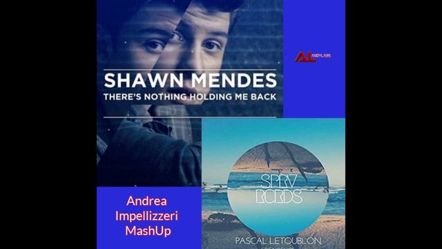 Pascal Letoublon and Shawn Mendes - Friendships vs There's Nothing Holdin' Me Back смотреть онлайн