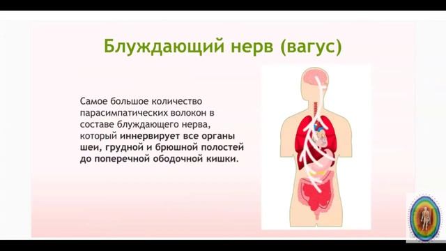 Омолаживающие технологии. Возможности биорезонанса. смотреть онлайн