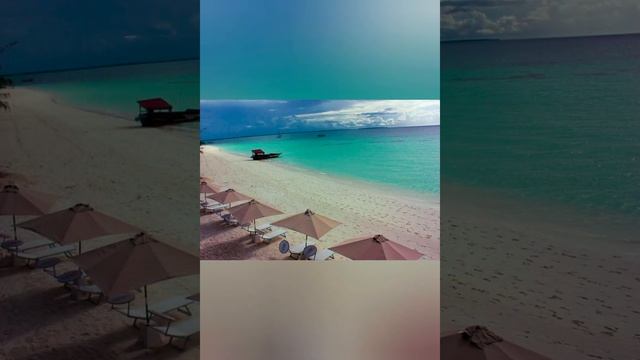 #Riu #Palace #Zanzibar 5*