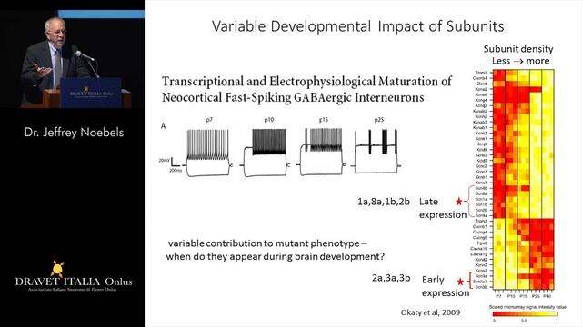 02. Dr. Jeffrey Noebels - Sodium Channel and Human Disease смотреть онлайн