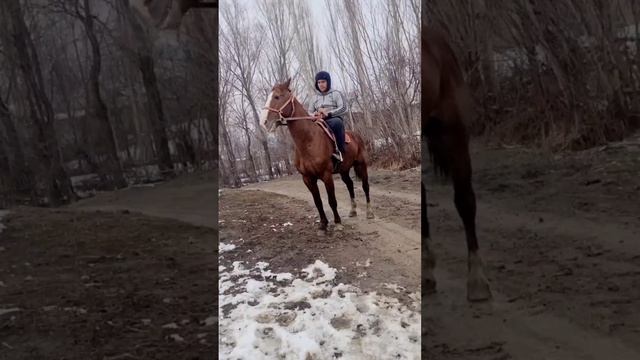 Сотилади Ёош 7 Бой 160 + Улоги бор Пул 1750 $ Адрес ноокат +996 550 731 731 смотреть онлайн