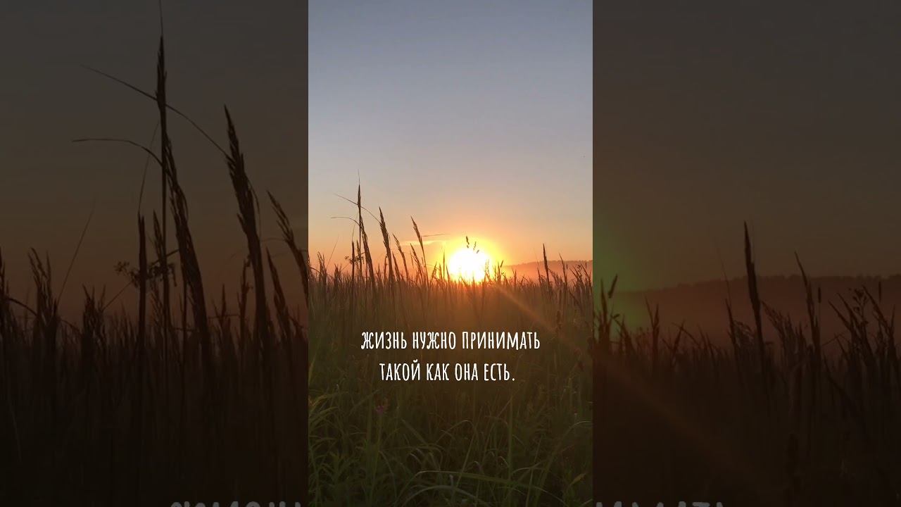 Мне кажется жизнь - это дар. И это надо ценить. смотреть онлайн