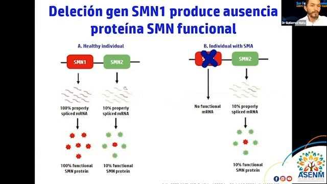 Deleción del gen SMN1. Video 17 смотреть онлайн