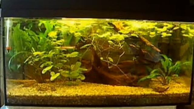 Top Leds topp смотреть онлайн