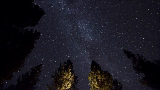 Ylfa Mist Helgadóttir – Skór смотреть онлайн