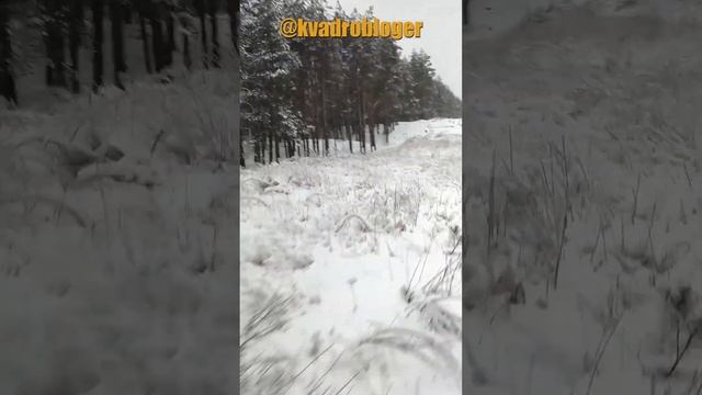 Катим по зимнему лесу на stels guepard #atv #квадроцикл #квадроциклы смотреть онлайн