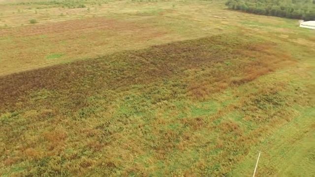 47 14 1203001 11 смотреть онлайн