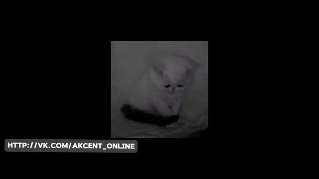 GLOBAL FF 💔грустная песня💔