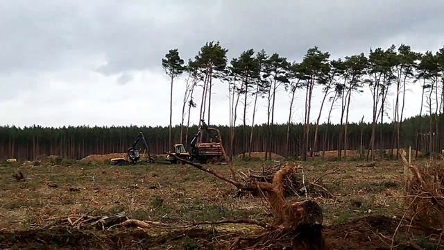 Giga Berlin | 2020-02-21 | Harvesting continues смотреть онлайн