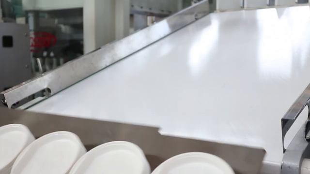 IN LINE THERMOFORMING PLANT FOR THE PRODUCTION OF PP PLATES AND TRAYS смотреть онлайн