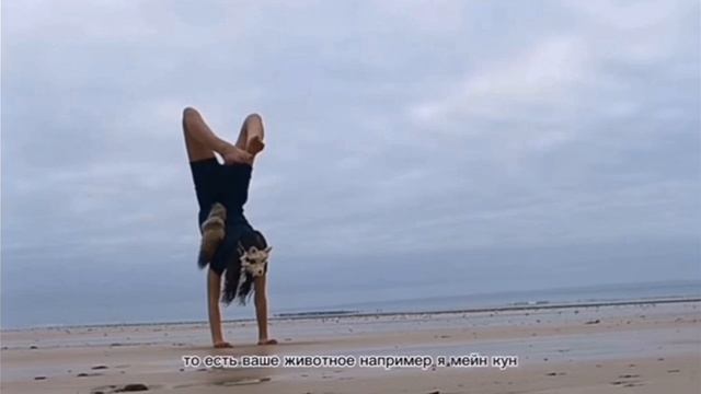 🌿ВСЁ О КВАДРОБИКЕ🪶Чтонужно чтобы начать заняться квадробикой? АБСОЛЮТНО ВСЁ О КВАДРОБИКЕ!❤️ смотреть онлайн