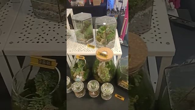 mini botanic in glass bottle смотреть онлайн