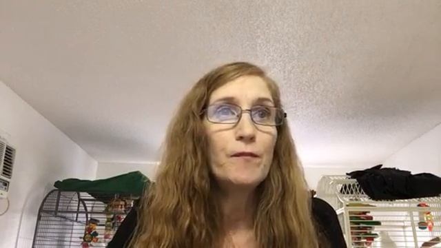 Cockatoos and Cuddling | BEWARE смотреть онлайн