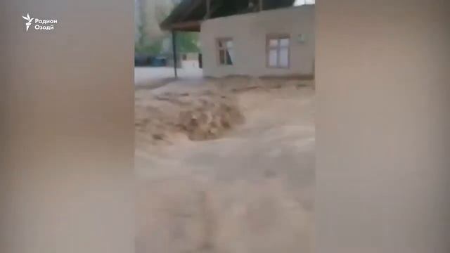 Срочно Селли мудхиш дар Нохияи Ёвон смотреть онлайн