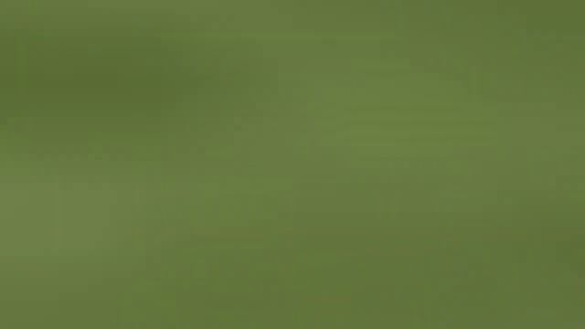 West Brom vs Arsenal 0-4 post match analysis смотреть онлайн