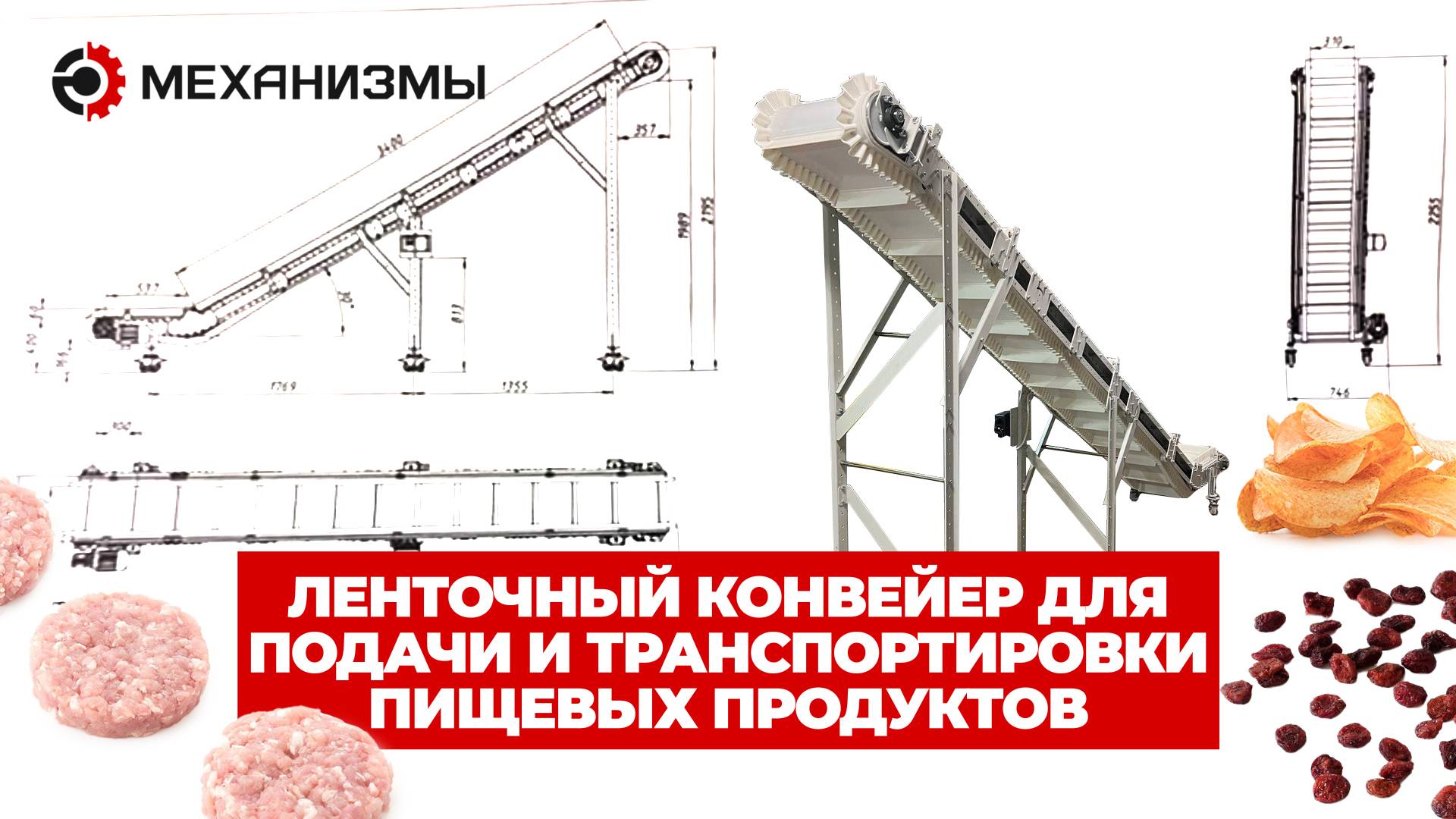 Ленточный конвейер для подачи и транспортировки пищевых продуктов от МЕХАНИЗМЫ смотреть онлайн