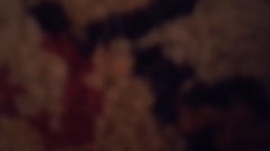 рукья от порчи отворота с помощью влюбленых сущьностей их сглазов и сихров