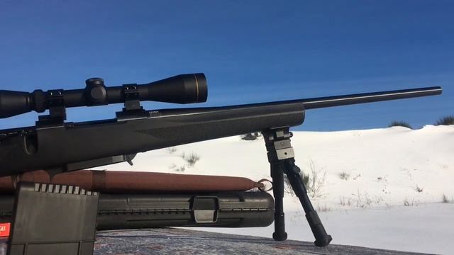 Howa 1500