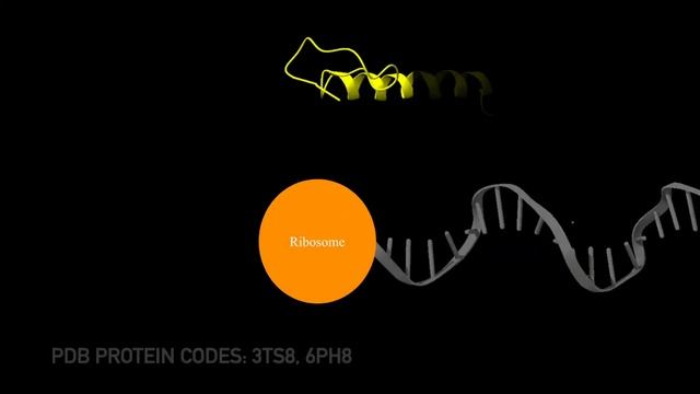 p53 - The Guardian of the Genome смотреть онлайн