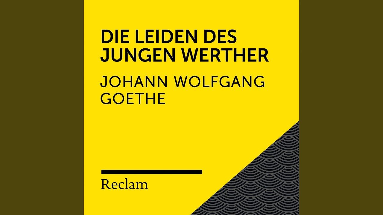 Die Leiden des jungen Werther (Hrsg.an den Leser, Teil 14) смотреть онлайн