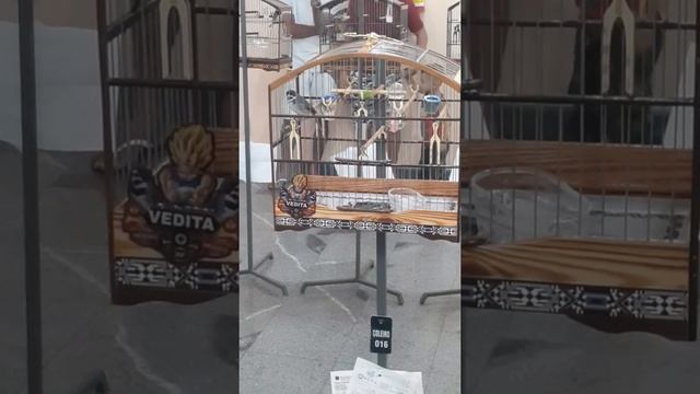 o começo de um sonho vedita em areal смотреть онлайн