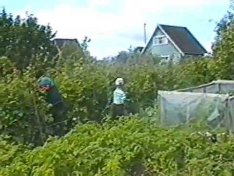 16.07.1998 смотреть онлайн