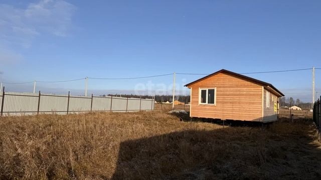 11595219 смотреть онлайн