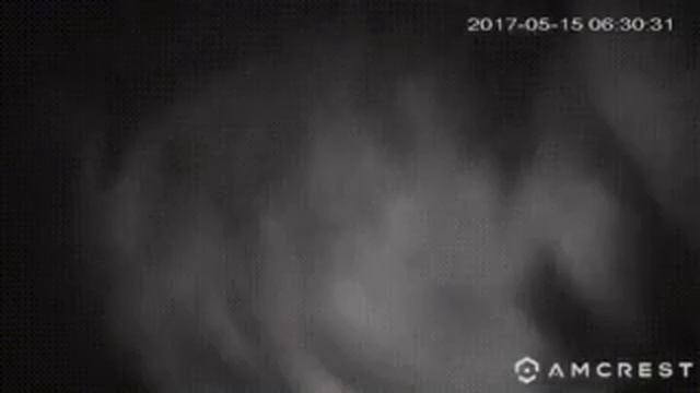 Cat and cam смотреть онлайн