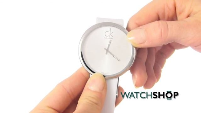 Calvin Klein Ladies' Subtle Watch (K0V23120)