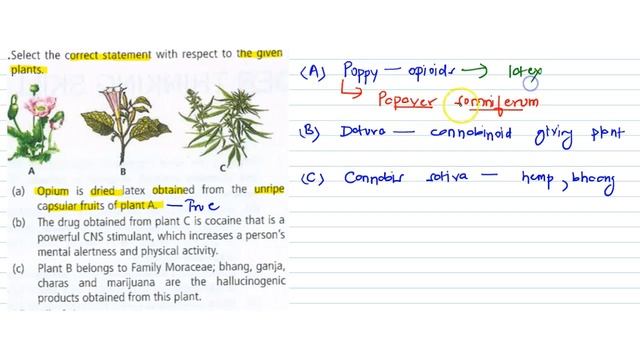 Select the correct statement with respect to the given plants. смотреть онлайн